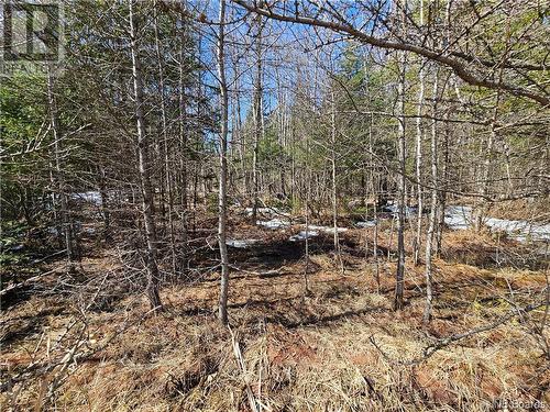 Lot Route 385, Plaster Rock, NB 