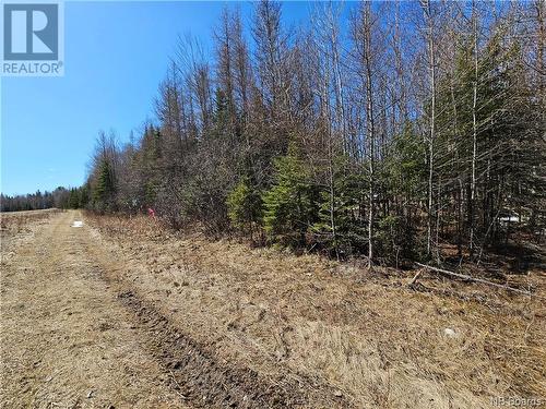 Lot Route 385, Plaster Rock, NB 