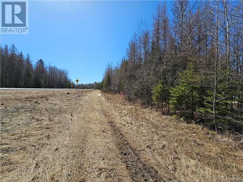 Lot Route 385, Plaster Rock, NB 