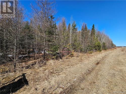 Lot Route 385, Plaster Rock, NB 