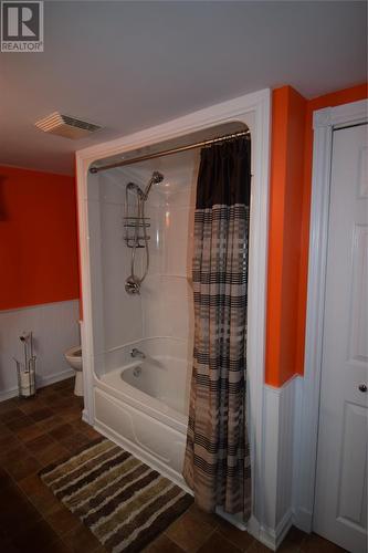 37 Station Road, Howley, NL - Indoor Photo Showing Bathroom
