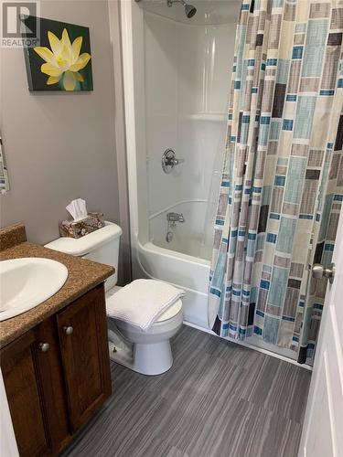 26 Harbourview Avenue, Arnold'S Cove, NL - Indoor Photo Showing Bathroom