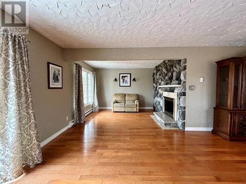 117 Goodyear Avenue, Grand Falls-Windsor, NL - Indoor With Fireplace
