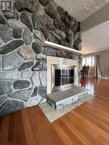 117 Goodyear Avenue, Grand Falls-Windsor, NL - Indoor Photo Showing Living Room With Fireplace