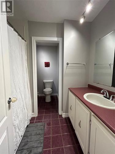 117 Goodyear Avenue, Grand Falls-Windsor, NL - Indoor Photo Showing Bathroom