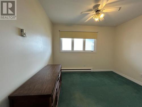 117 Goodyear Avenue, Grand Falls-Windsor, NL - Indoor Photo Showing Bedroom