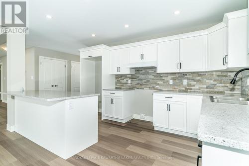 371 Linden Valley Rd, Kawartha Lakes, ON - Indoor Photo Showing Kitchen With Double Sink With Upgraded Kitchen