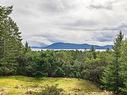 250 Channel Ridge Dr, Salt Spring, BC  - Outdoor With View 