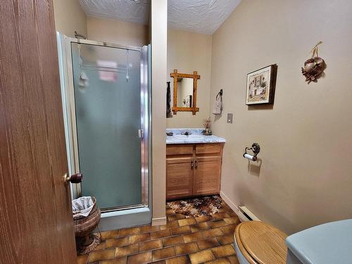 Bathroom - 45 Ch. De St-Michel, Brownsburg-Chatham, QC - Indoor Photo Showing Bathroom