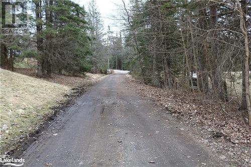 Driveway - 970 Old Muskoka Road, Utterson, ON - Outdoor With View