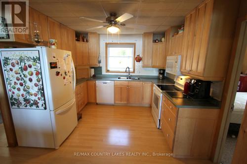 151 Mckelvey Beach Rd, Kawartha Lakes, ON - Indoor Photo Showing Kitchen With Double Sink
