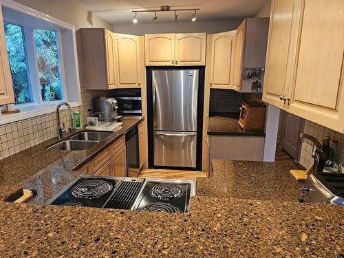 3433 Highway 6, Nelson, BC - Indoor Photo Showing Kitchen With Double Sink