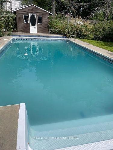 3 North St N, Cramahe, ON - Outdoor With In Ground Pool