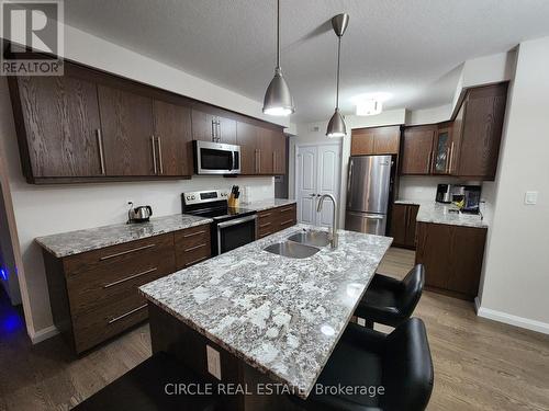 B - 211 Rachel Crescent, Kitchener, ON - Indoor Photo Showing Kitchen With Double Sink With Upgraded Kitchen