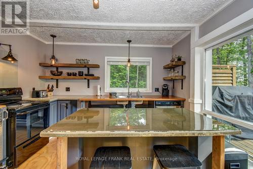 84 Irwin Drive, Galway-Cavendish And Harvey, ON - Indoor Photo Showing Kitchen