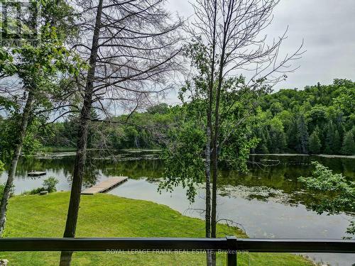 84 Irwin Drive, Galway-Cavendish And Harvey, ON - Outdoor With View