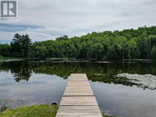 84 Irwin Drive, Galway-Cavendish And Harvey, ON - Outdoor With Body Of Water With View