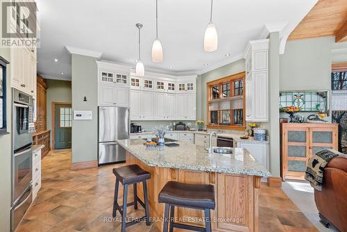 229 Louisa Street, Kawartha Lakes, ON - Indoor Photo Showing Kitchen With Upgraded Kitchen