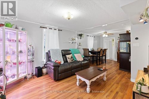 165 Lorne Ave, Quinte West, ON - Indoor Photo Showing Living Room