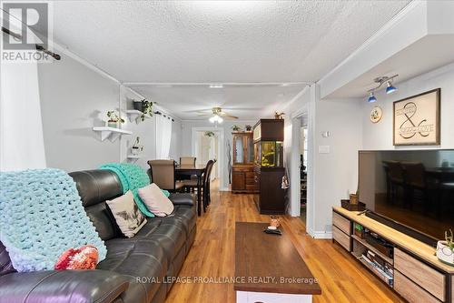 165 Lorne Ave, Quinte West, ON - Indoor Photo Showing Living Room