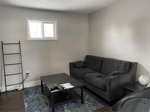Swan River, Manitoba - Indoor Photo Showing Living Room