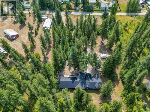 3993 Westman Road, Malakwa, BC - Outdoor With View