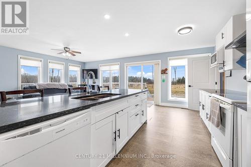 883 Lake Dalrymple Rd, Kawartha Lakes, ON - Indoor Photo Showing Kitchen With Double Sink