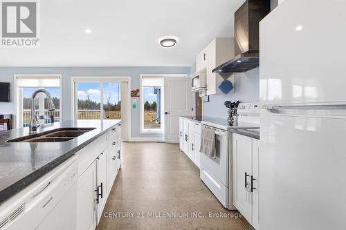 883 Lake Dalrymple Rd, Kawartha Lakes, ON - Indoor Photo Showing Kitchen With Double Sink With Upgraded Kitchen