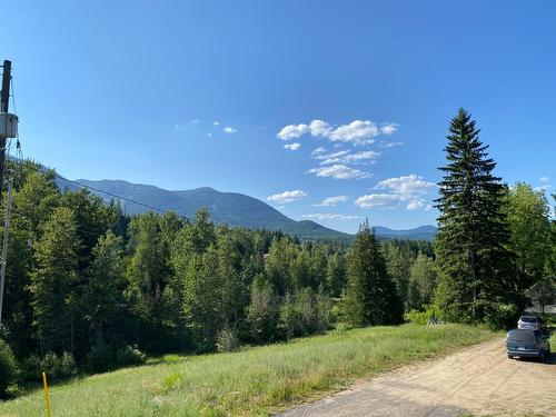 205 Joliffe Way, Rossland, BC - Outdoor With View