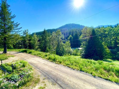 205 Joliffe Way, Rossland, BC - Outdoor With View