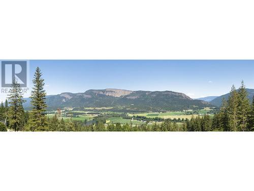 241 Twin Lakes Road, Enderby, BC - Outdoor With View