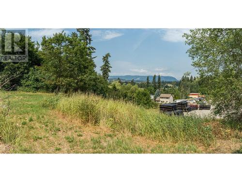 3035 Pleasant Valley Road, Armstrong, BC - Outdoor With View