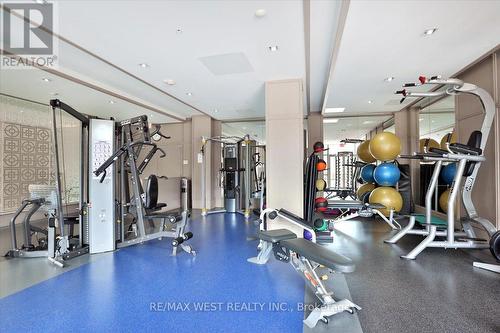 #211 -2480 Prince Michael Dr, Oakville, ON - Indoor Photo Showing Gym Room