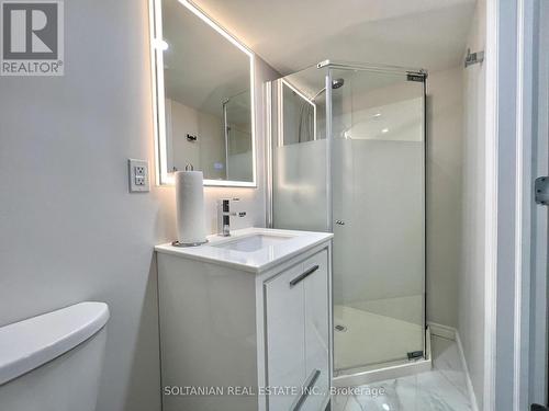 5 Debonair St, Richmond Hill, ON - Indoor Photo Showing Bathroom