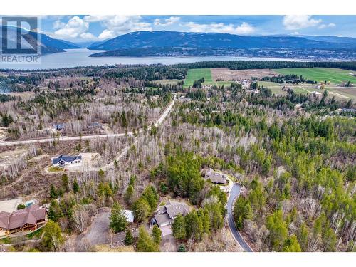 3900 60 Street Nw, Salmon Arm, BC - Outdoor With View