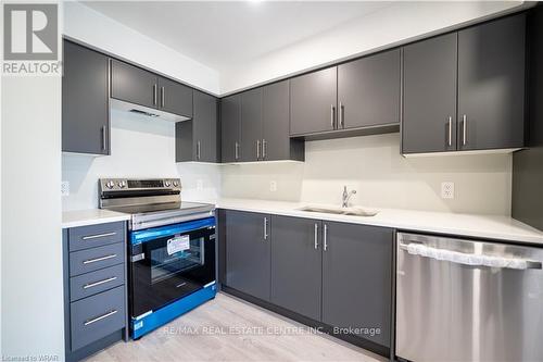 291 Chapel Hill Drive, Kitchener, ON - Indoor Photo Showing Kitchen With Stainless Steel Kitchen With Double Sink