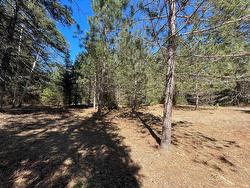 Land/Lot - 