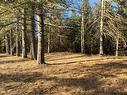 Land/Lot - Ch. Du Tour-Du-Lac, Lac-Des-Plages, QC 