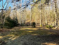 Land/Lot - 