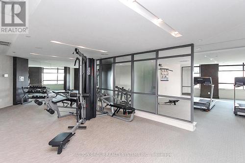 #808 -225 Sherway Gardens Rd, Toronto, ON - Indoor Photo Showing Gym Room