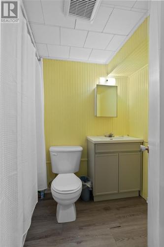 44 Roche Street, St.John'S, NL - Indoor Photo Showing Bathroom
