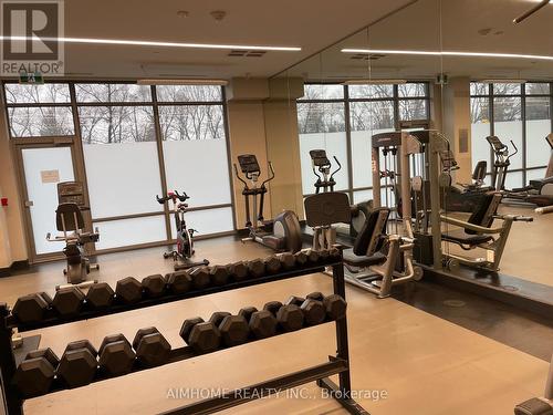 Ps04 - 52 Forest Manor Road, Toronto, ON - Indoor Photo Showing Gym Room