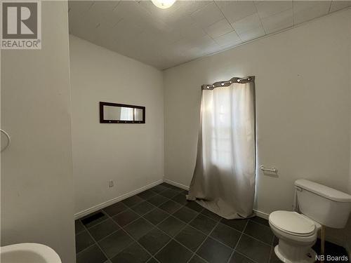 141 Riverview Drive, Florenceville-Bristol, NB - Indoor Photo Showing Bathroom