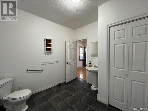 141 Riverview Drive, Florenceville-Bristol, NB - Indoor Photo Showing Bathroom