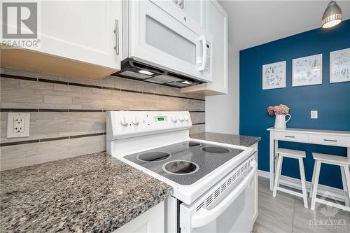 100 Greenboro Crescent, Ottawa, ON - Indoor Photo Showing Kitchen
