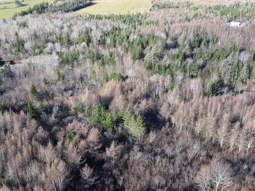 Lot 2 Mabou Road, Judique North, NS 