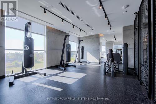 #2810 -251 Manitoba St, Toronto, ON - Indoor Photo Showing Gym Room