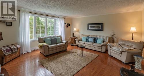 1498 Torbay Road, Torbay, NL - Indoor Photo Showing Living Room