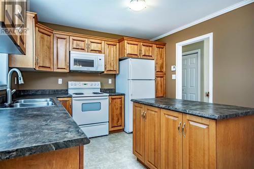 19 Stormont Street, Paradise, NL - Indoor Photo Showing Kitchen With Double Sink