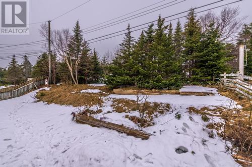 12 Burdell Place, St. John'S, NL - Outdoor With View